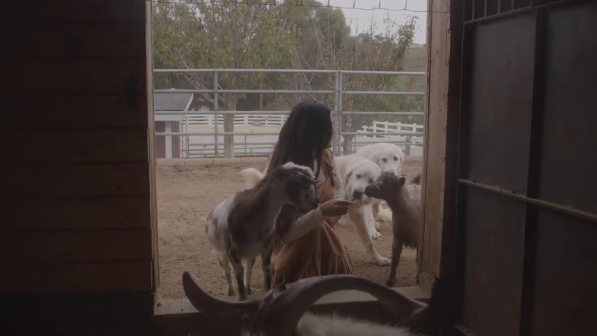 Woman sits in a barn doorway feeding goats with two white dogs behind