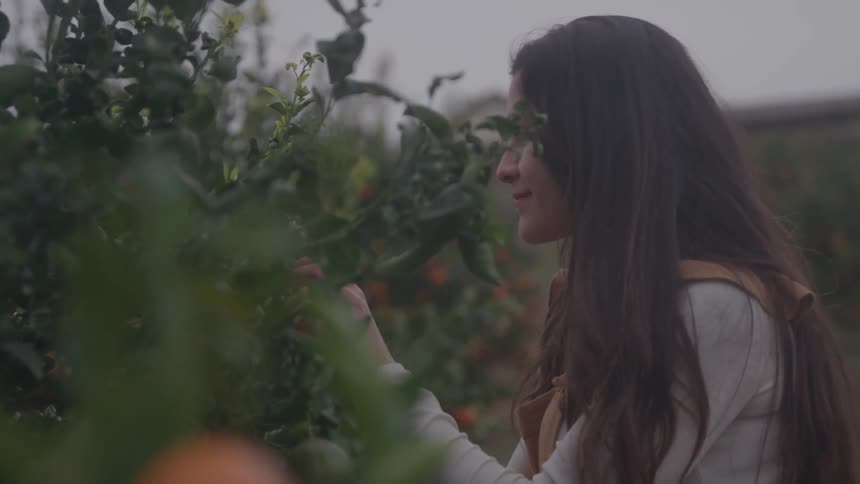 A woman with long hair leans into leafy branches in an orchard eyes closed and serene as she inhales the scent