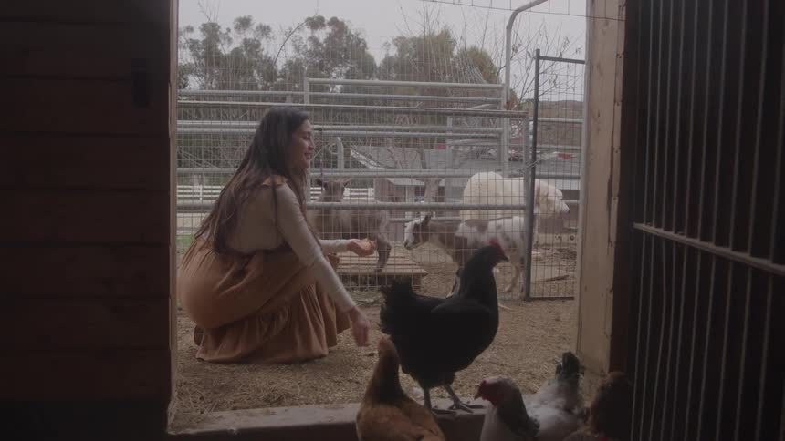 A woman kneeling and extending her hand to feed three small birds with larger white livestock visible behind a wire fence in the background