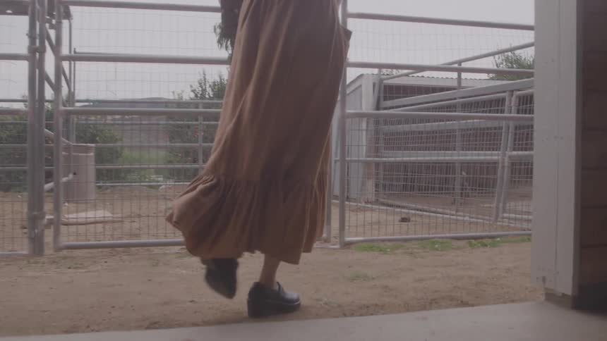 Woman walking in a fenced area wearing a long brown dress