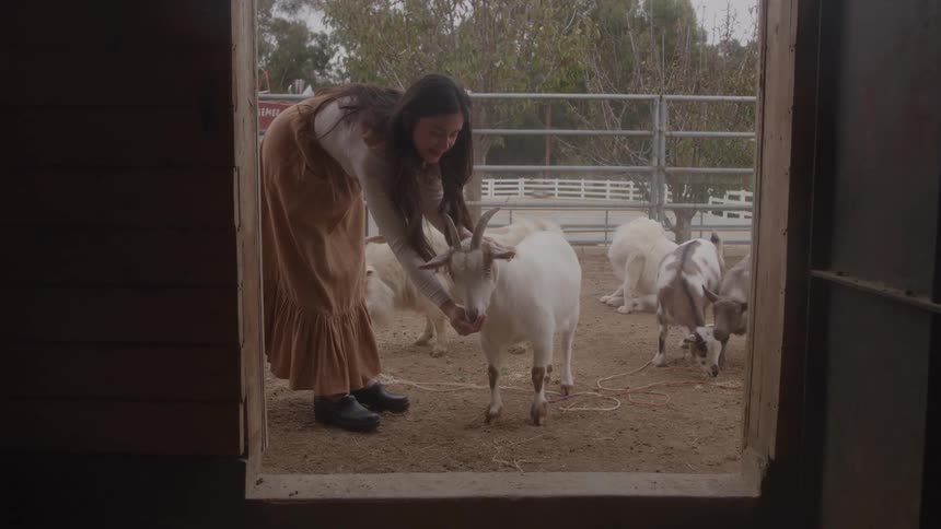 A dynamic medium view framed by a dark interior doorway showing a woman bending over to pet the head of a white goat in an outdoor pen surrounded by metal fencing and other goats