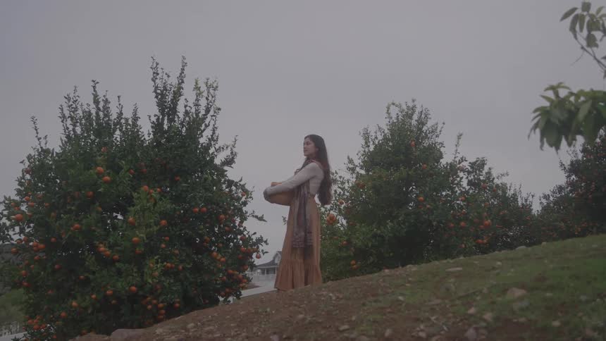 A woman stands outdoors holding a basket in an orange orchard