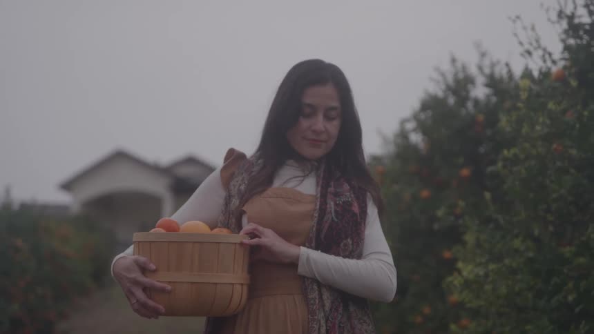 A hispanic woman harvesting oranges in a rural setting