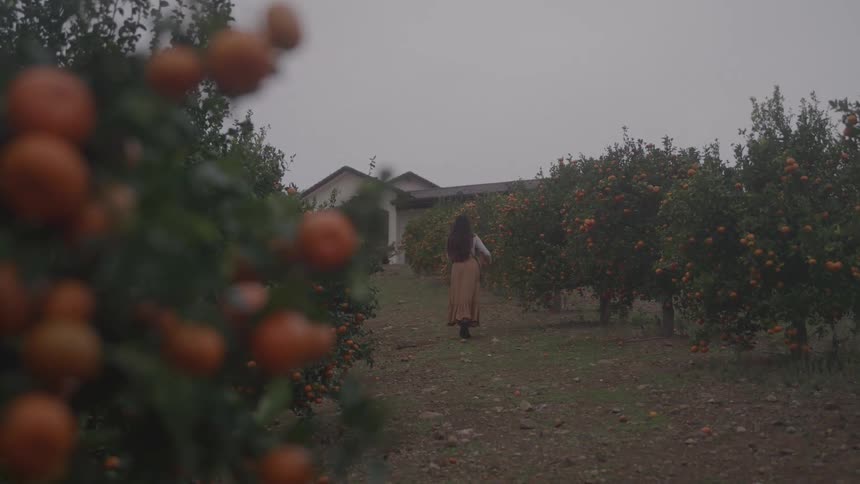 Female farmer walks along dirt path through orchard trees