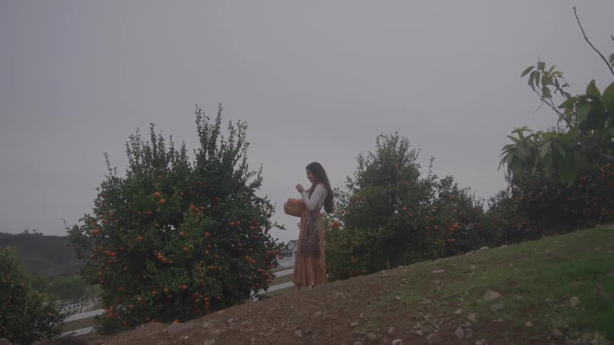 A young woman with long dark hair wears a tan dress and a white shawl as she stands on a dirt hill picking fruit from a tangerine tree on a cloudy day