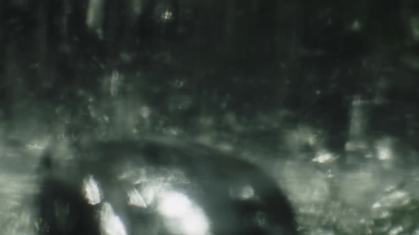 A close view shows heavy rain or spray hitting a dark wet surface with the silhouette of a duck in the foreground and the water splashing and glistening with reflected lightsources
