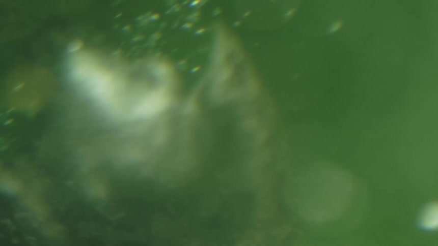 Blurred image floats in green water with light flares underwater