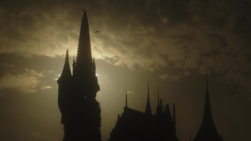 Silhouette of castle turret against bright sky with two birds overhead