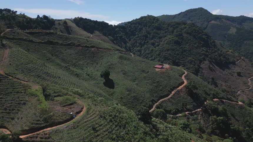 Aerial view of a large plantation over mountains under a bright sky
