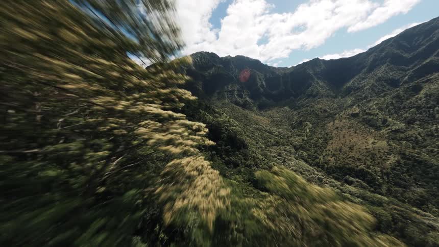 The mountains are covered with green
