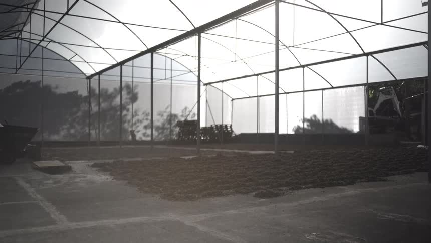 Wide shot of greenhouse with dark material on floor