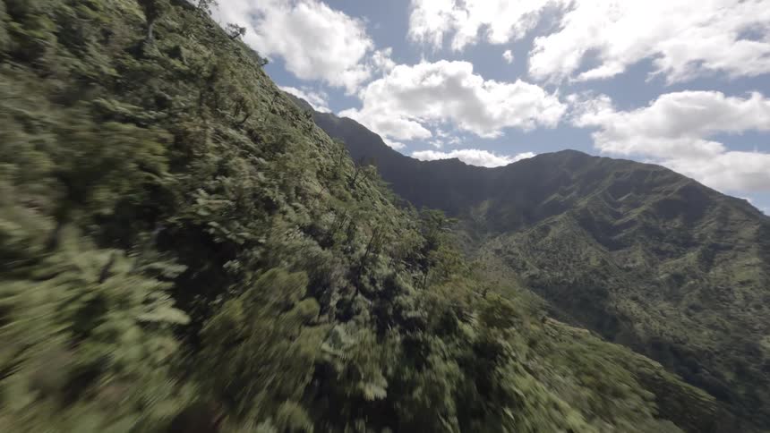 Aerial view moving rapidly through a densely forested valley with steep rugged mountainsides rising on either side beneath a cloudy blue sky