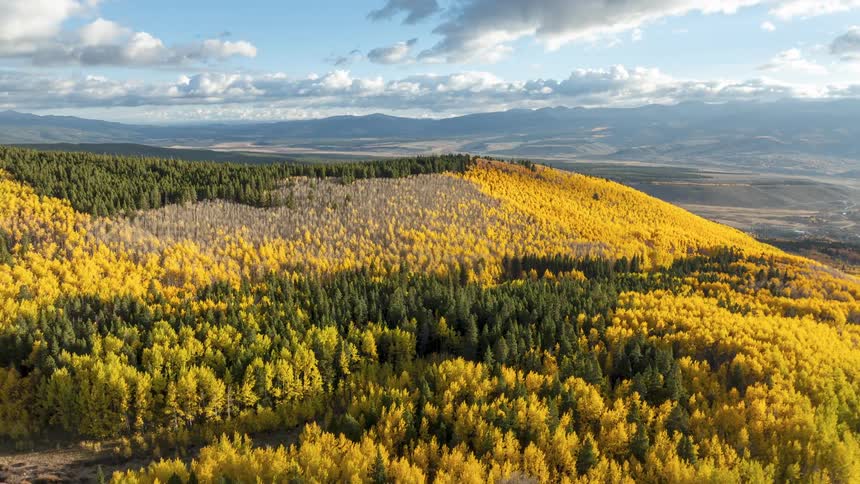 Autumn landscape with hills covered in yellow and green trees surrounding a small lake