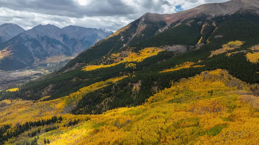 An aerial shot sweeps across a mountainside covered in patches of brilliant yellow aspen trees and dark green pine forests on a cloudy autumn day