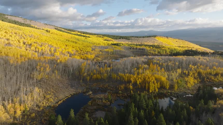 Hills covered with yellow trees and a small lake in the center reflecting the partly cloudy sky