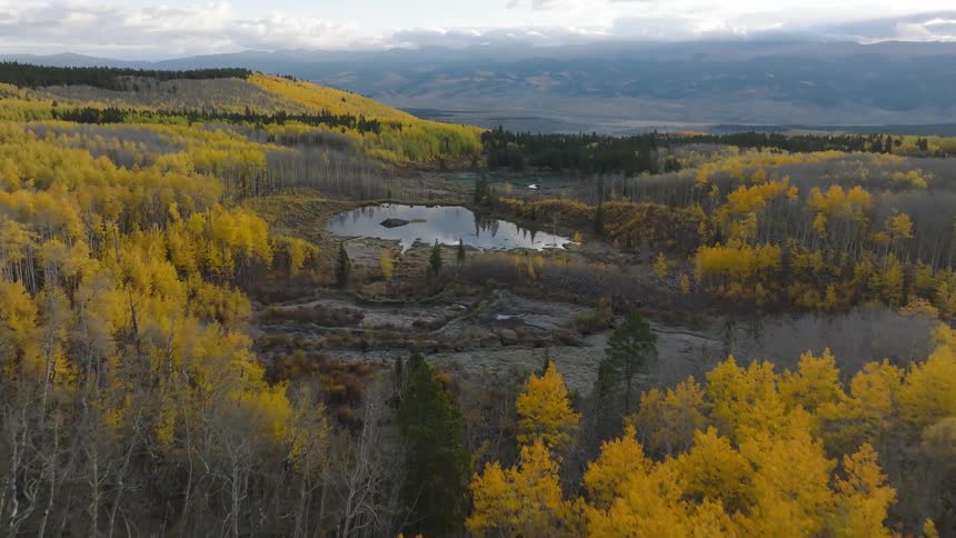Leafless trees and trees with their autumn foliage surround a pond on a cloudy fall day