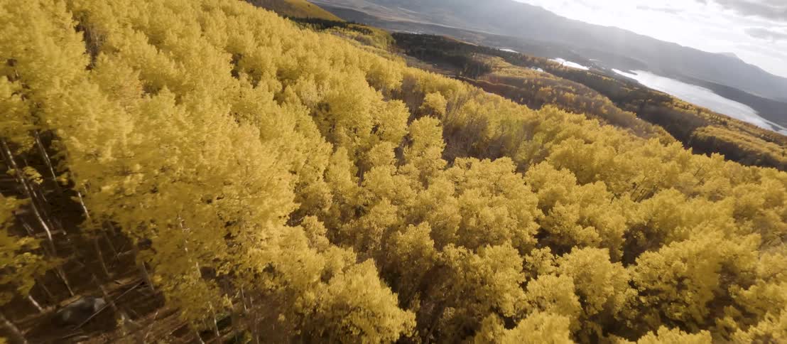 An aerial camera flies over a mountain slope covered with yellow deciduous trees and descends to reveal pools of water and patches of coniferous trees in the valley below