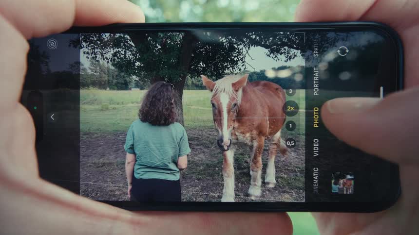 Person photographing a horse while someone feeds it under a tree