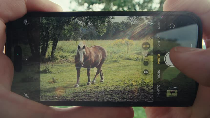 A person uses a smartphone camera to zoom in on a horse and a woman standing beneath a tree in a sunny field