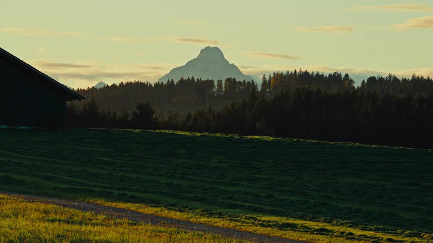Green field lit by the setting sun with a forest in the background and a mountain standing out on the horizon