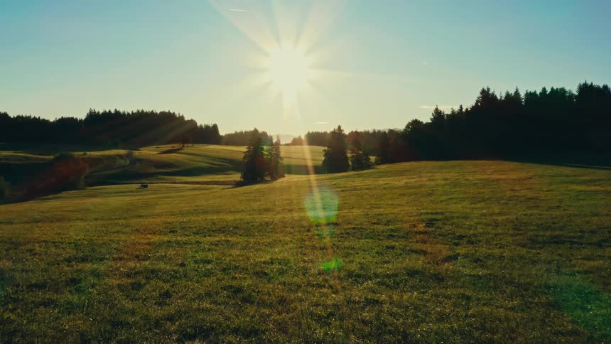Open field with grass lit by the low sun and a line of trees in the background