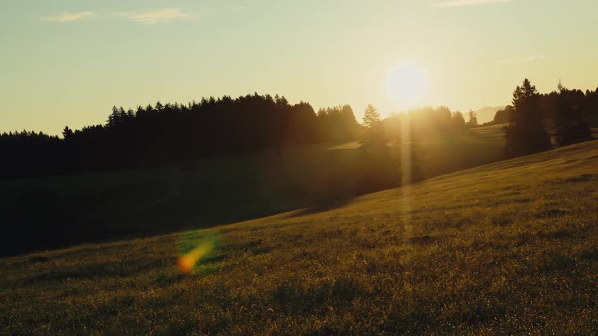 Setting sun lights up a grassy field with trees in the background