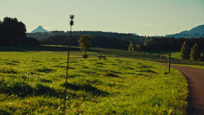 A countryside grassland stretches wide under the midday sun with a road path running along its side