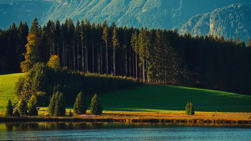 Calm lake in front of a forest at the foot of the mountains