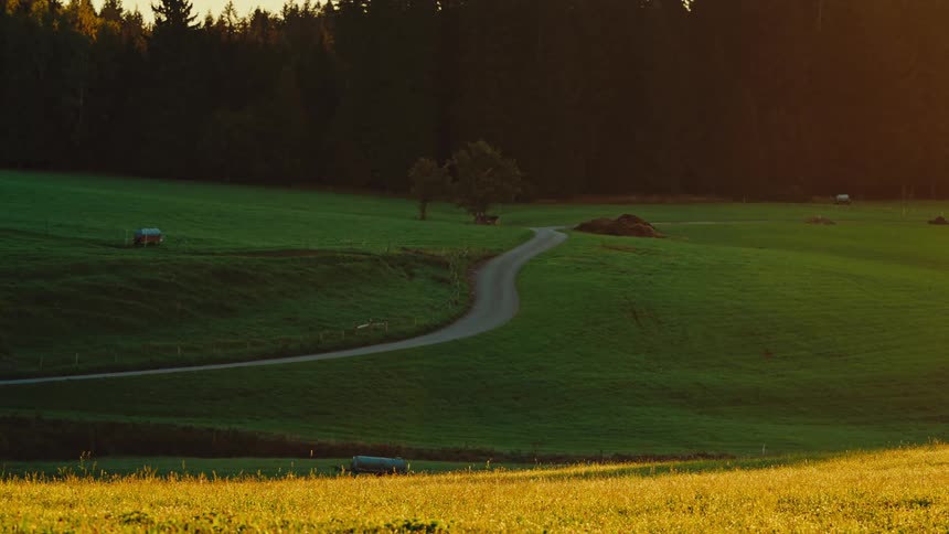 A sunlit golden field gives way to rolling green grass hills with a winding dirt road that leads uphill toward a dark forest and a sunset sky in this serene evening landscape video