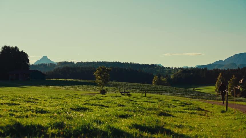 Person running in a grassy field with mountains in the background under a clear sky
