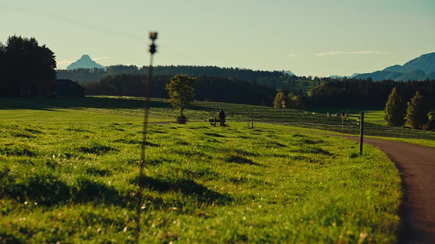 A person walks through a countryside grassland at midday following a road path