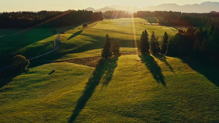 A dramatic aerial shot captures a sundrenched mountain valley with bright green undulating meadows and scattered groups of dark green evergreen trees the low golden sunlight of the sunrise or sunset casts long dramatic shadows fro