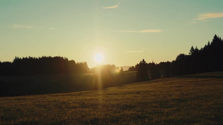 Landscape of a grassland at sunset