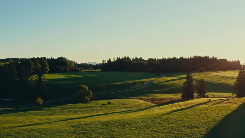 A forest is behind a large grassy field in a rural area