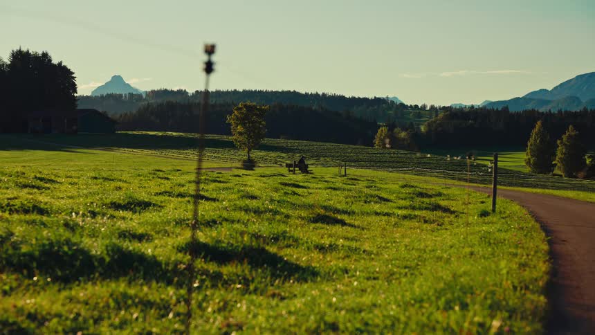 A rural grassland at midday with a road running along its side