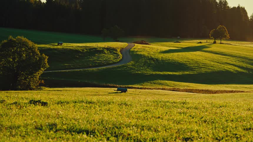 Winding path crosses a green field bathed in sunlight