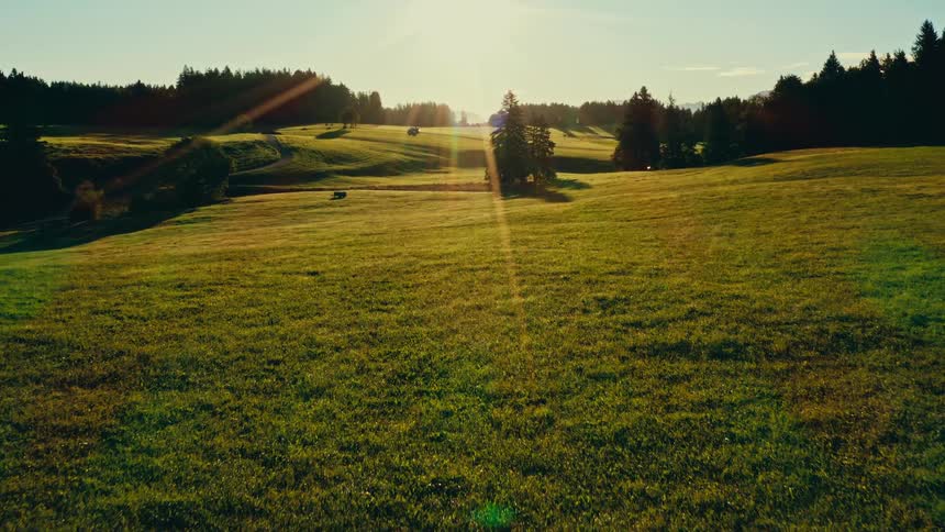 Bright sun on the horizon illuminates a vast green field