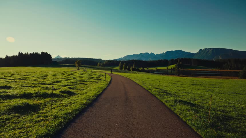 A road path stretches through a countryside grassland under the bright midday sun