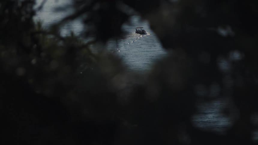 Boat sailing in the distance on the sea seen through blurred branches
