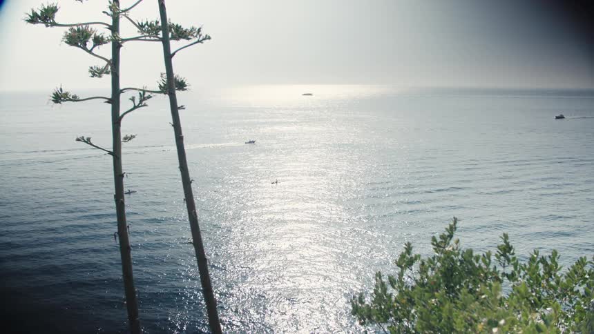 Boats and kayaks move across a glistening sunlit ocean in a picturesque coastal scene