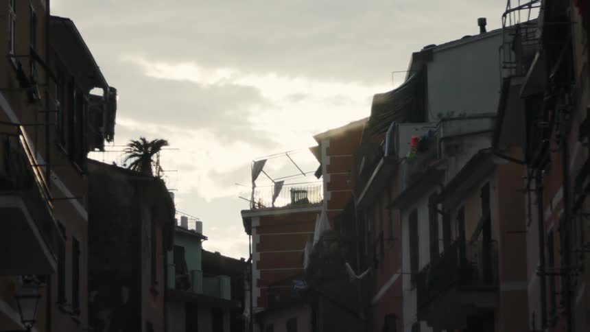 The silhouetted facades of european style buildings against a bright cloudy sky with a single palm tree visible on a rooftop