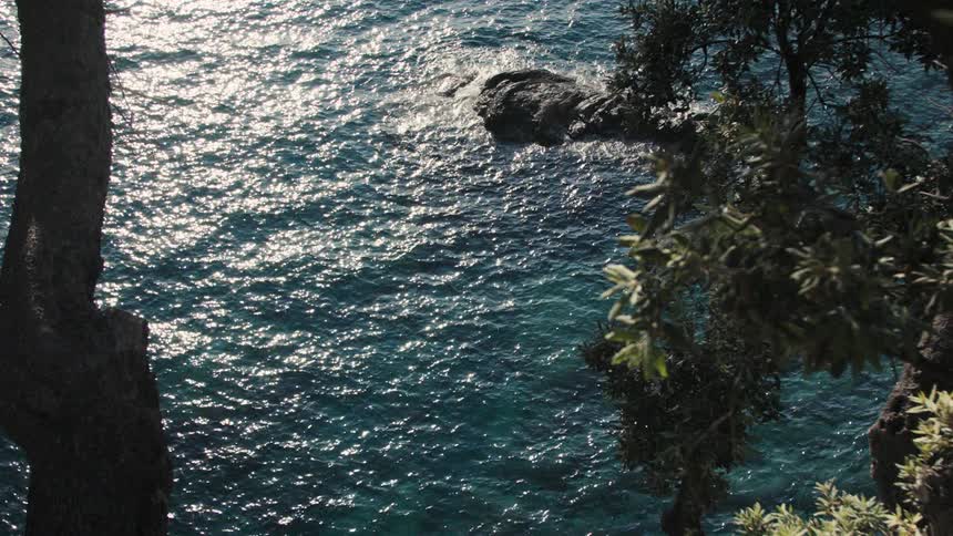 Crystalclear blue water with a visible rock and surrounding tree branches