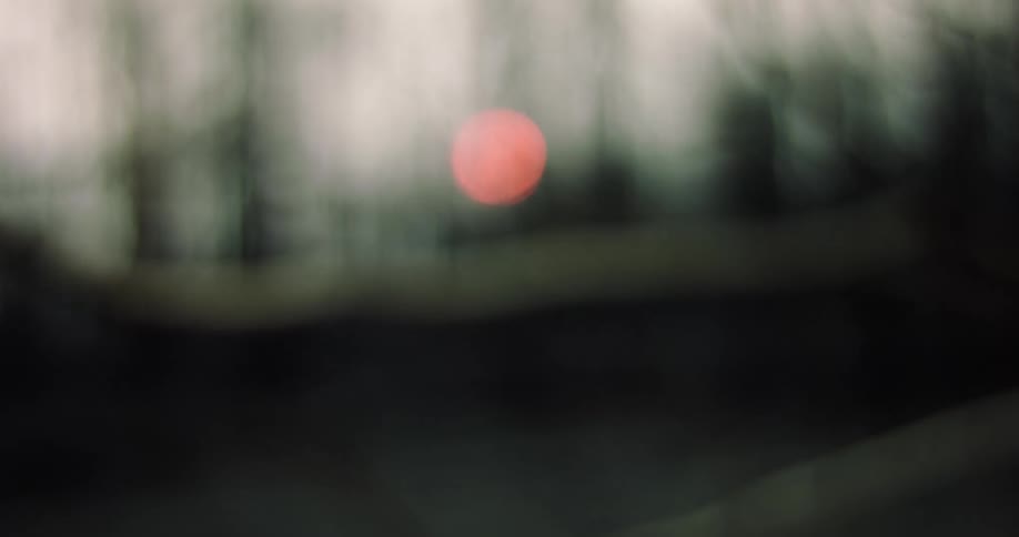 Blurred orange sun at dusk with silhouettes of trees in the background