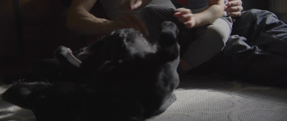Young father holding his son while showing affection to a domestic pet at home.