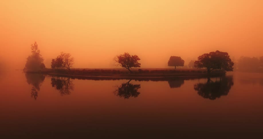 The small island is flat with trees on it
