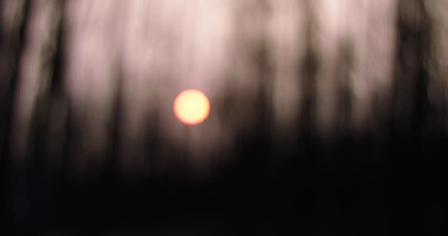 The sun setting in the sky over a woodland area