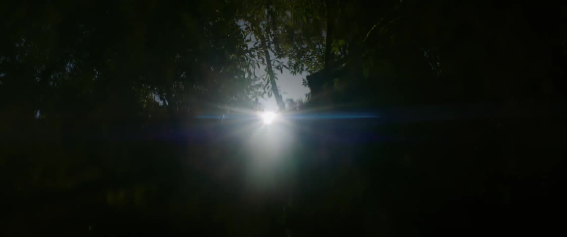 A strong sunbeam pierces dark foliage at night and reflects on calm water