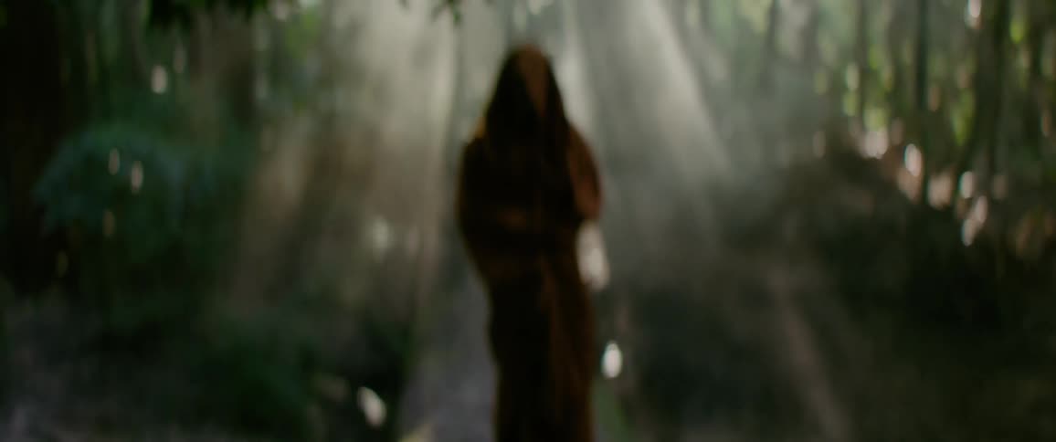 Hooded figure walks along forest trail lit by sunlight