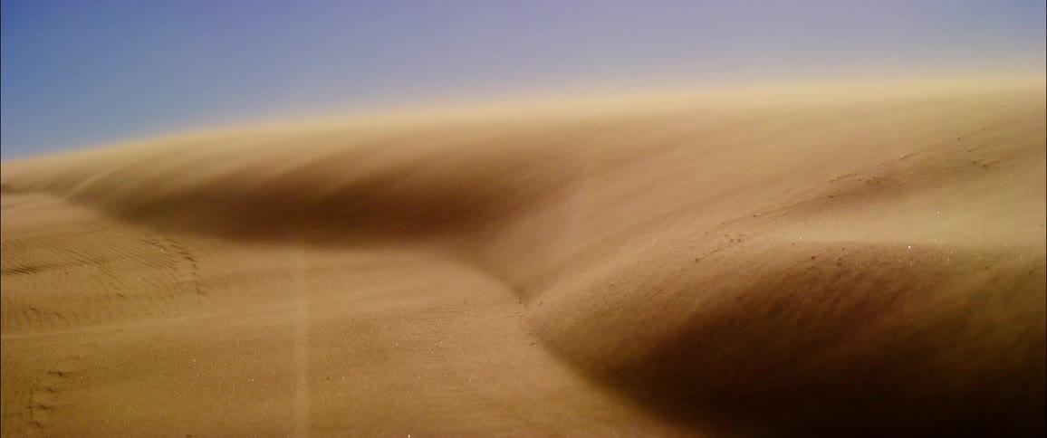 The wind blows the sand in the desert