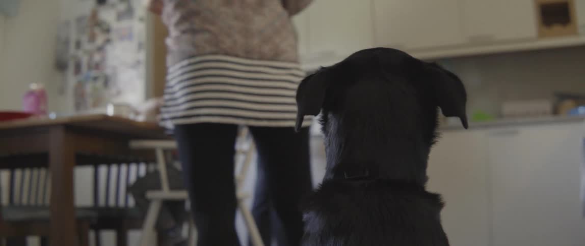 A black pet dog watches from behind as his family moves around the kitchen.